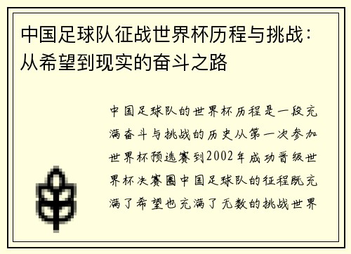 中国足球队征战世界杯历程与挑战：从希望到现实的奋斗之路